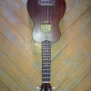 WP_008720.jpg