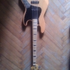 WP_008755.jpg