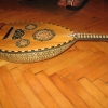 IMG_2292.jpg