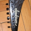 IMG_3231.jpg