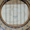 P1000012.jpg