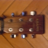 P1000072.jpg