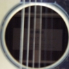 P1000217.jpg