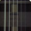 P1000218.jpg
