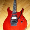 P1000286.jpg