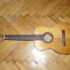 P1000350.jpg