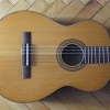 P1000355.jpg