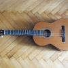P1000356.jpg