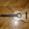 P1000365.jpg