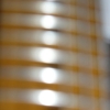 P1000384.jpg