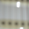 P1000385.jpg