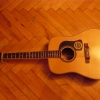 P1000464.jpg
