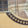 P1000479.jpg
