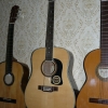 P1000484.jpg