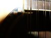 P1000487.jpg
