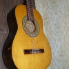 P1000513.jpg