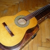 P1000516.jpg