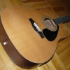 P1000520.jpg