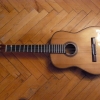 P1000524.jpg