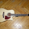 P1000804.jpg