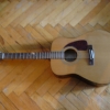 P1010004.jpg