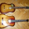P1010009.jpg