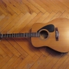 P1010018.jpg