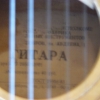 P1010135.jpg