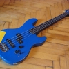 P1010146.jpg