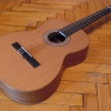 P1010350.JPG