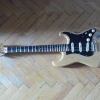 P1040201.JPG