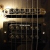 P1050052.JPG