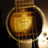 P1050057.JPG
