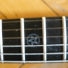 P1050069.JPG