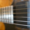 P1050075.JPG