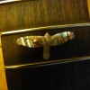 P1050159.JPG