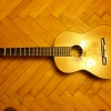 P1050241.JPG