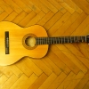 P1050357.JPG