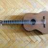 P1050418.JPG