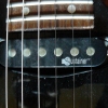 P1050637.JPG
