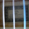 P1050794.JPG
