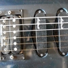 P1060001.JPG