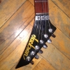WP_004440.jpg