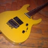 WP_004441.jpg