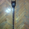 WP_004450.jpg