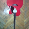 WP_004457.jpg