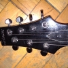 WP_004466.jpg
