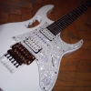WP_004478.jpg