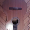 WP_004482.jpg