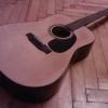 WP_004491.jpg